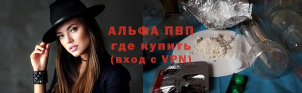 спиды Белокуриха