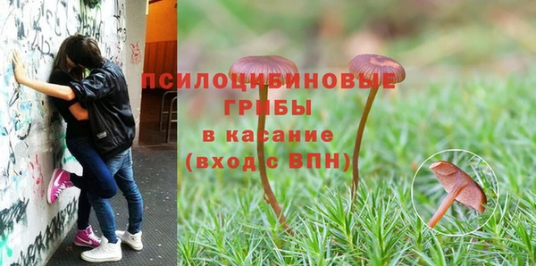 спиды Белокуриха