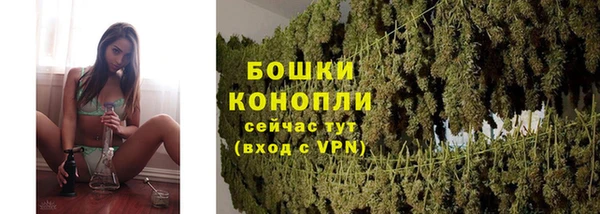 спиды Белокуриха