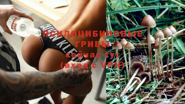 спиды Белокуриха