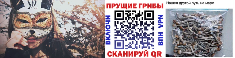 наркотики  Краснотурьинск  сайты даркнета официальный сайт  Галлюциногенные грибы GOLDEN TEACHER 